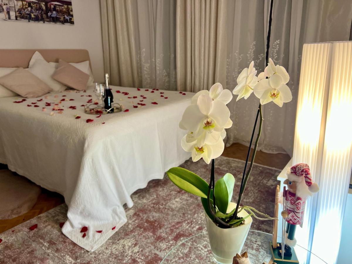 Louis & Elza Old Town Romantic Apartments 브로츠와프 외부 사진